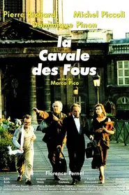 Loonies at Large movie poster