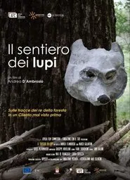 Poster do filme Il sentiero dei lupi