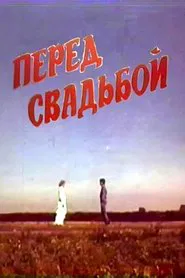 Before the Wedding movie poster