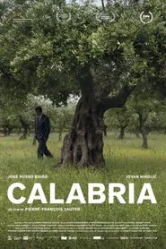 Calabria movie poster