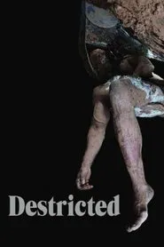 Destricted movie poster