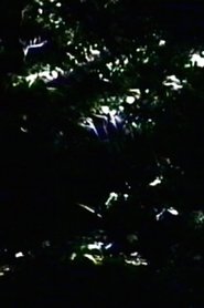 Poster do filme The Darkening