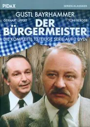 Der Bürgermeister tv show poster