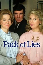 Poster do filme Pacote de Mentiras