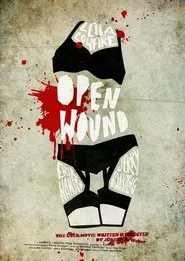 Open Wound - The Übermovie movie poster