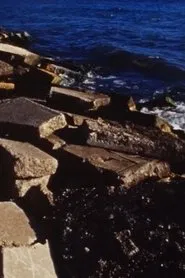 Low Tide movie poster