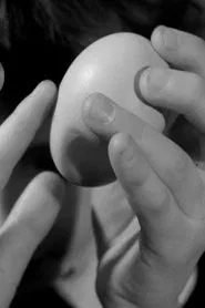 This Is an Egg movie poster