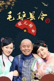 Donkey Magistrate: Sour and Hot Daughters movie poster