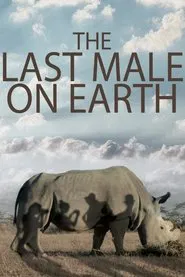 Poster do filme The Last Male on Earth