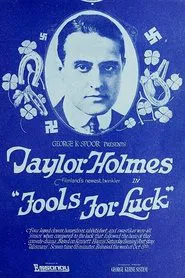 Fools For Luck movie poster