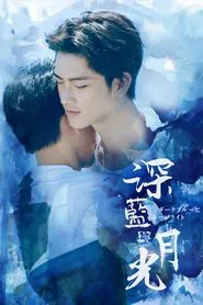 Dark Blue and Moonlight tv show poster