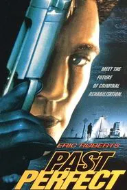 Past Perfect movie poster