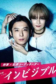 Invisible tv show poster