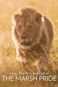 Lion: The Rise and Fall of the Marsh Pride movie poster