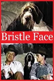 Bristle Face movie poster