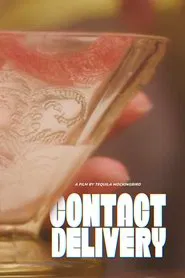Poster do filme Contact Delivery