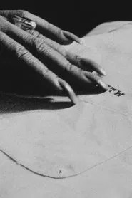 Poster do filme The Guest