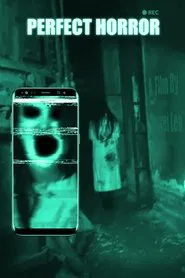 Perfect Horror movie poster