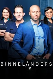 Binnelanders tv show poster