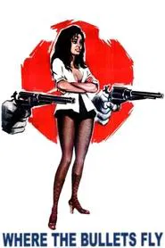 Poster do filme Where the Bullets Fly