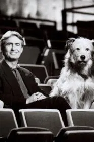 Dad's A Dog movie poster