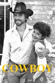Cowboy movie poster