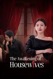 The Awakening of Housewives tv show poster