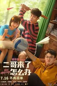 Hi Brothers movie poster