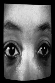 Poster do filme Creating a Different Image: Portrait of Alile Sharon Larkin