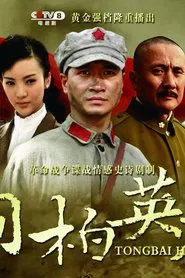 桐柏英雄 tv show poster