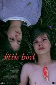 Little Bird movie poster