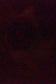 A Sentimental Piece in High ISO movie poster