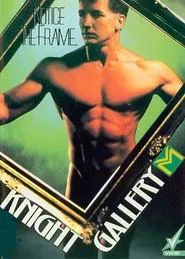 Poster do filme Knight Gallery