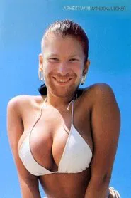 Windowlicker movie poster