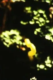 Caterpillar movie poster
