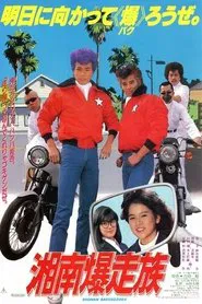 Bomber Bikers of Shonan movie poster