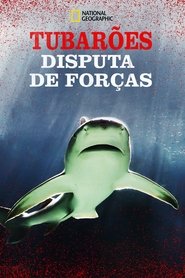 Poster do filme Tubarões: Disputa de Forças