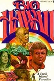 Big Hawaii tv show poster