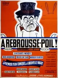 À rebrousse-poil movie poster