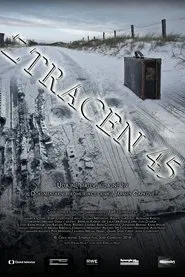 Poster do filme Ztracen 45