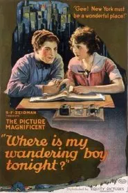 Where's My Wandering Boy Tonight? movie poster