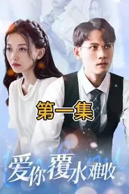 Poster da série 爱你覆水难收