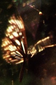 A Flea’s Skin Would Be Too Big For You movie poster