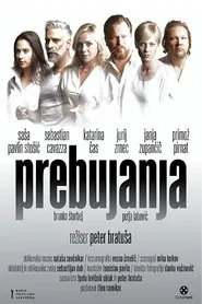 Awakenings movie poster
