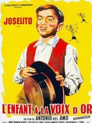 Poster do filme Nightingale Song