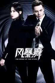 The Dance of the Storm tv show poster