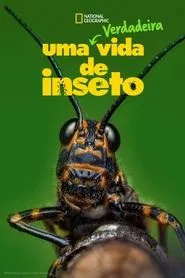 Poster da série Uma Verdadeira Vida de Inseto