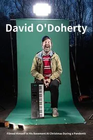 David O'Doherty Filmed Himself In His Basement At Christmas During a Pandemic movie poster
