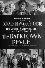 The Darktown Revue movie poster