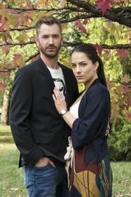 Poster da série Godparents